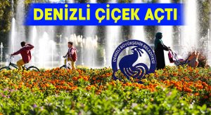 Denizli Çiçek Açtı