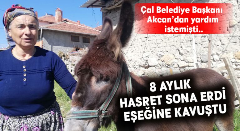 8 aylık hasret sona erdi, eşeğine kavuştu