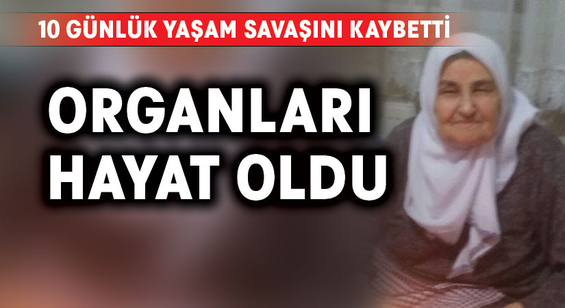 10 günlük yaşam savaşını kaybetti.. Organları hayat oldu