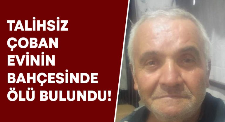 Talihsiz çoban evinin bahçesinde ölü bulundu!