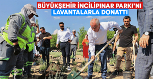 Denizli Büyükşehir İncilipınar Parkı’nı lavantalarla donattı