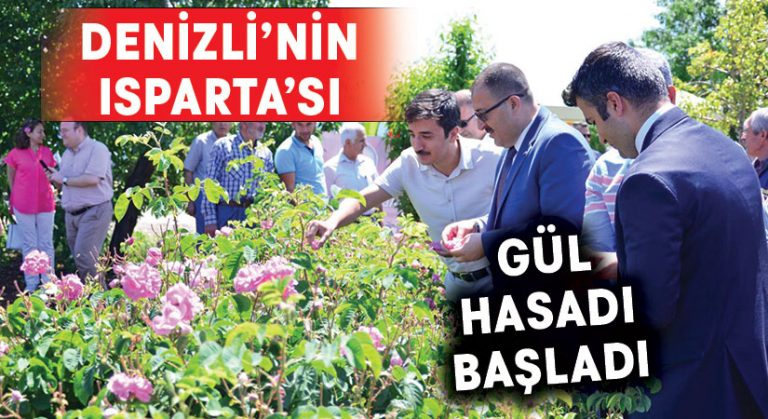 Denizli Çardak’ta Yağlık Gül Hasadı Başladı