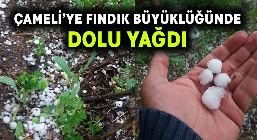 Çameli’ye fındık büyüklüğünde dolu yağdı