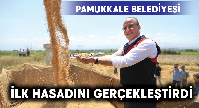 Pamukkale Belediyesi İlk Hasadını Gerçekleştirdi