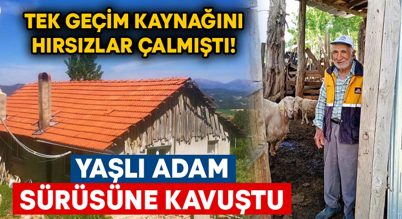 Tek geçim kaynağını hırsızlar çalmıştı! Yaşlı adam sürüsüne kavuştu