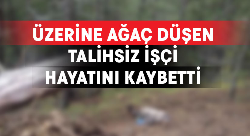 Talihsiz orman işçisi hayatını kaybetti