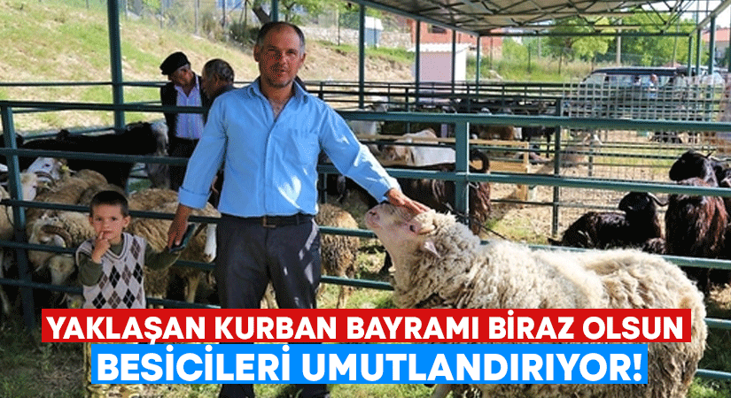 Yaklaşan Kurban Bayramı biraz olsun besicileri umutlandırıyor!