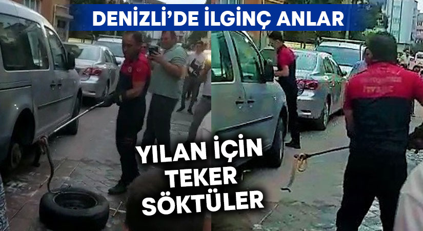 Yılan için arabanın tekerini söktüler