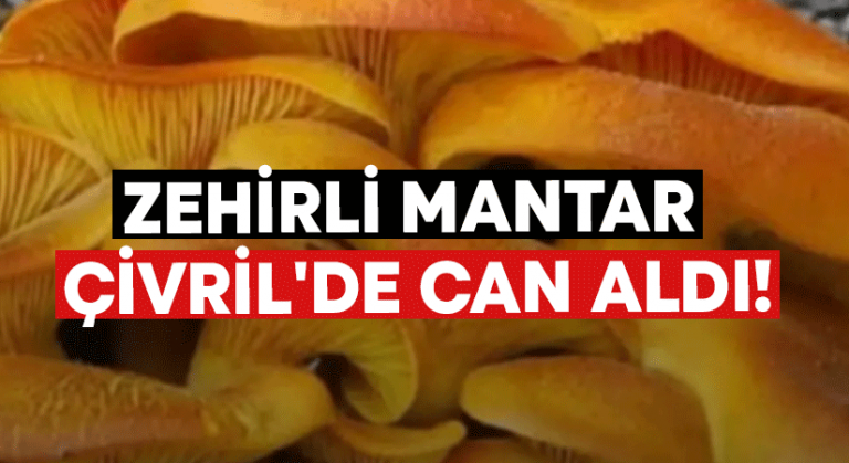 Zehirli mantar Çivril’de can aldı!