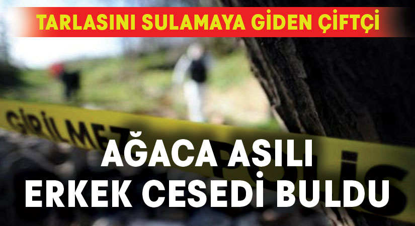 Çiftçi, ağaca asılı erkek cesedi buldu