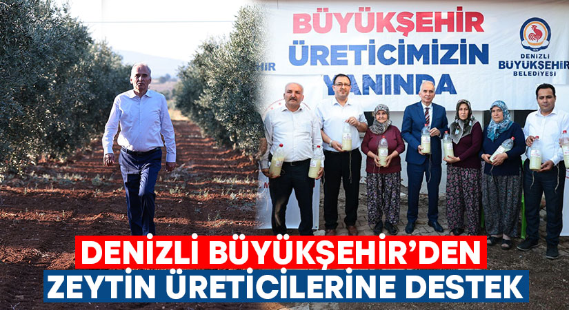 Denizli Büyükşehir’den zeytin üreticilerine destek!