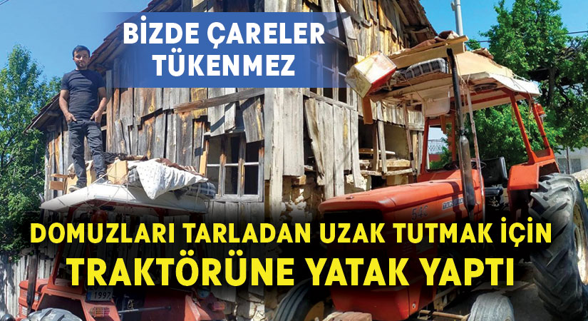 Domuzları tarladan uzak tutmak için traktörüne yatak yaptı