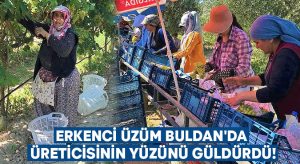 Erkenci üzüm Buldan’da üreticisinin yüzünü güldürdü!