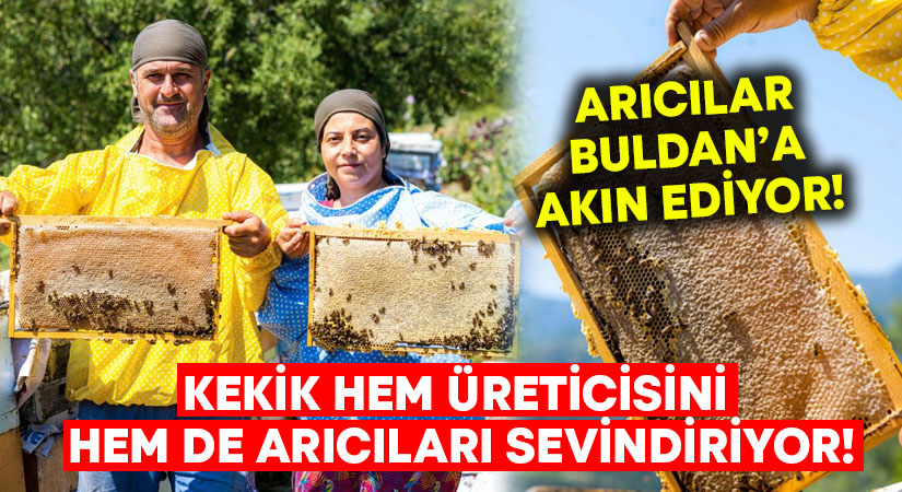 Kekik hem üreticisini hem de arıcıları sevindiriyor!