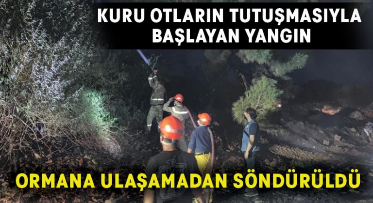 Kuru otların tutuşmasıyla başlayan yangın ormana ulaşamadan söndürüldü