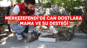 Merkezefendi’de can dostlarına mama ve su desteği