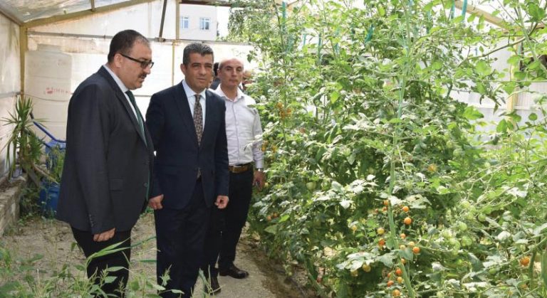 Meslek liselerinde tarım seferberliği Sarayköy’den başlayacak