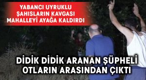 Polis ve mahallelinin didik didik aradığı şüpheli otların arasından çıktı