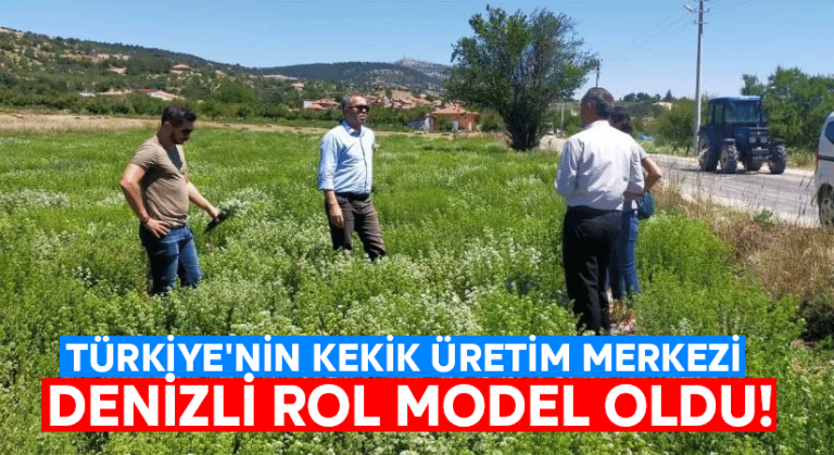 Türkiye’nin kekik üretim merkezi Denizli rol model oldu!