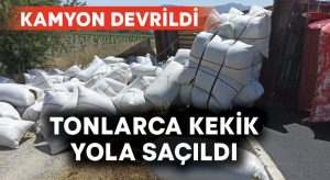 Devrilen kamyondaki tonlarca kekik yola saçıldı