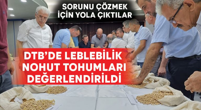 DTB’de Leblebilik Nohut Tohumları Değerlendirildi