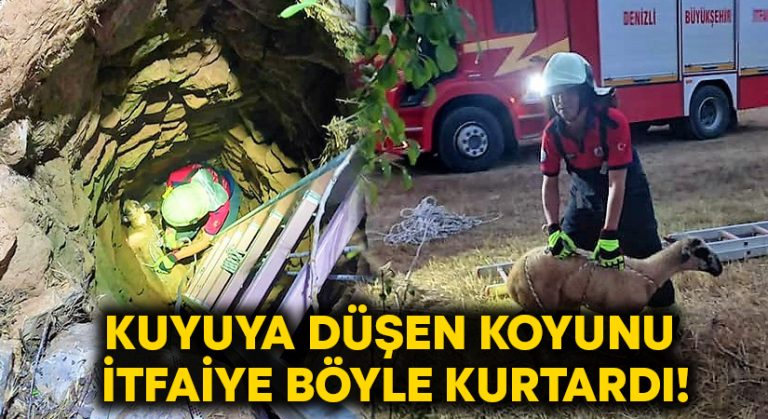 Kuyuya düşen koyunu itfaiye kurtardı!