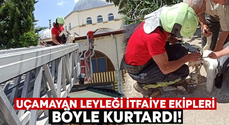 Uçamayan leyleği itfaiye ekipleri böyle kurtardı!