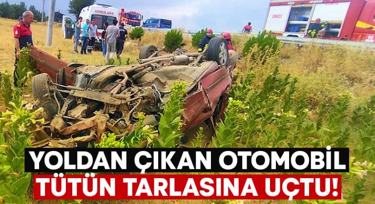 Yoldan çıkan otomobil tütün tarlasına uçtu!