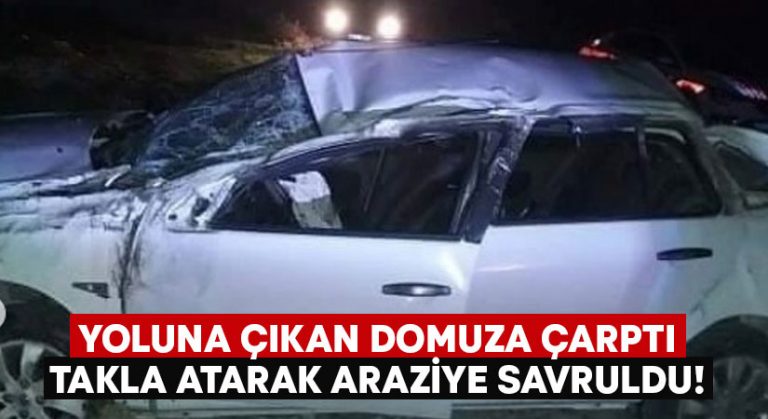 Yoluna çıkan domuza çarptı.. Takla atarak araziye savruldu!