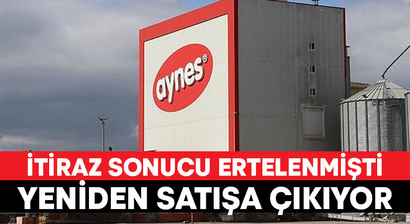 Aynes Gıda yeniden satışa çıkıyor