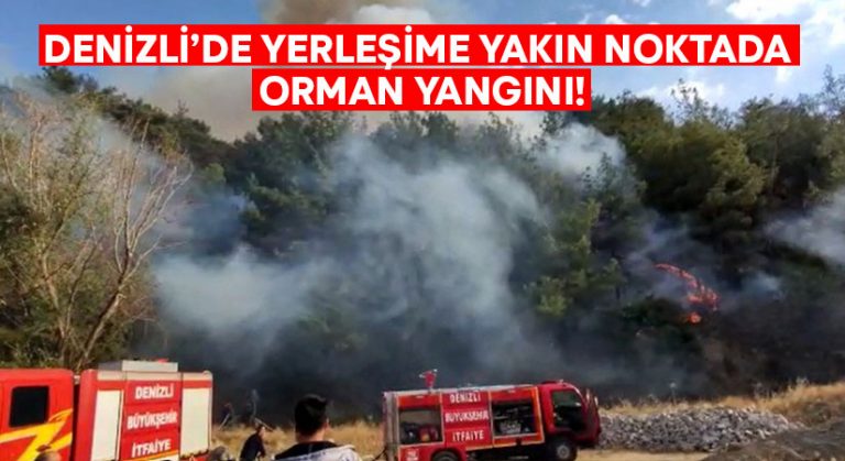 Denizli’de yerleşime yakın noktada orman yangını!