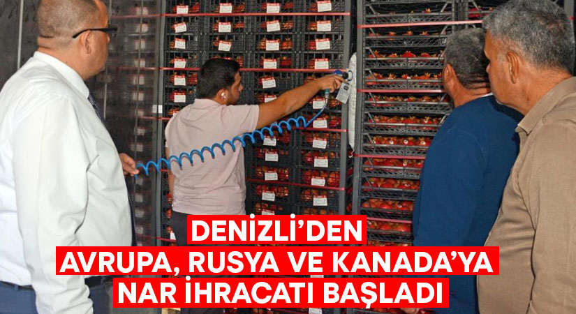 Denizli’den Avrupa, Rusya ve Kanada’ya nar ihracatı başladı!