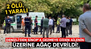 Denizli’den Sinop’a gezmeye giden ailenin üzerine ağaç devrildi: 2 ölü, 1 yaralı