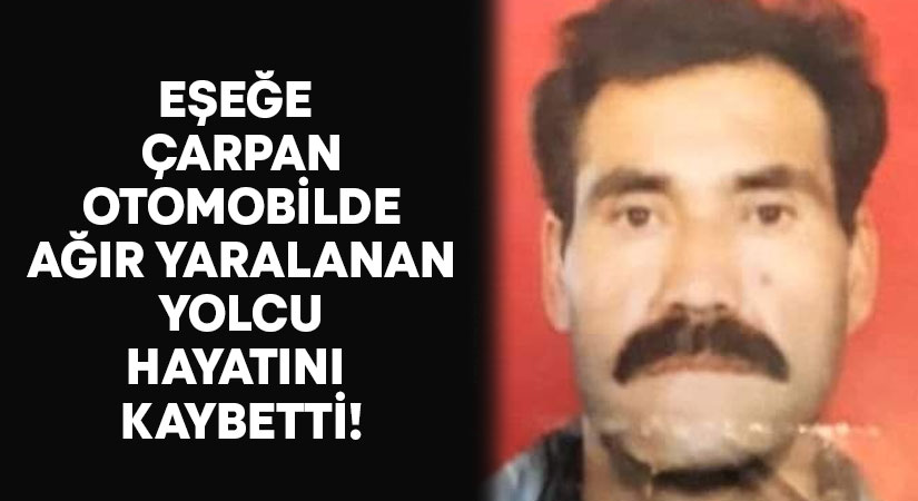 Eşeğe çarpan otomobilde ağır yaralanan yolcu hayatını kaybetti!