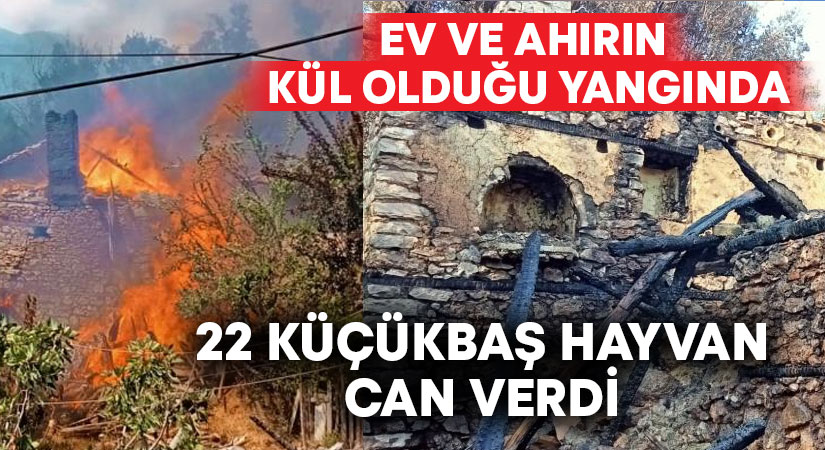 Ev ve ahırın kül olduğu yangında 22 küçükbaş hayvan can verdi