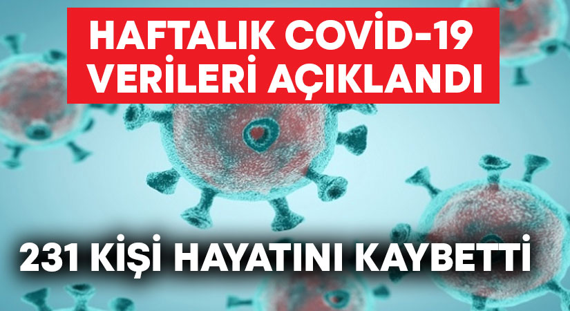 Haftalık covid-19 verileri açıklandı.. 231 kişi hayatını kaybetti