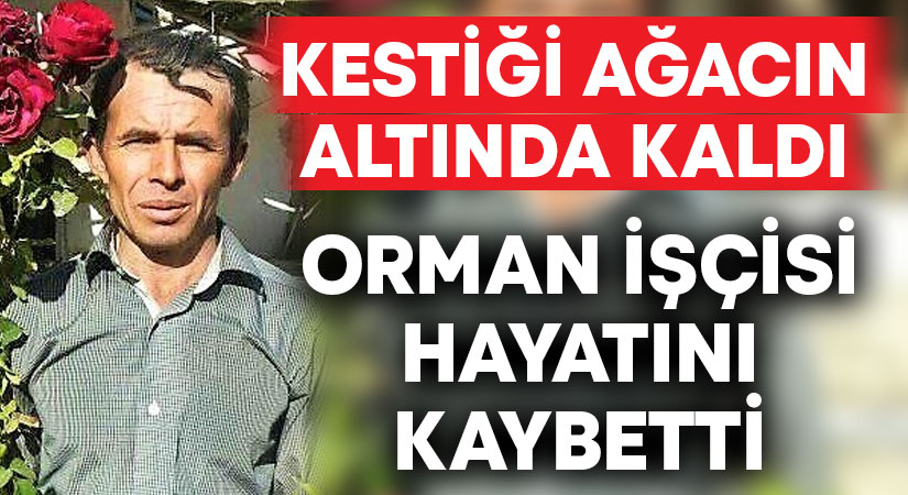 Kestiği ağacın altında kalan orman işçisi hayatını kaybetti