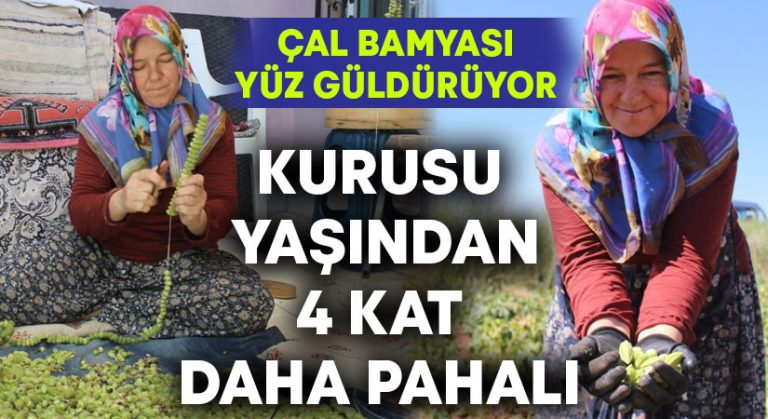 Kurusu yaşından 4 kat daha pahalı