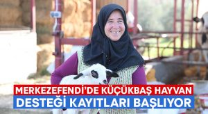 Merkezefendi’de küçükbaş hayvan desteği kayıtları başlıyor!