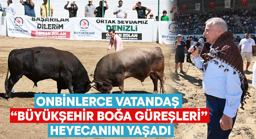 Onbinlerce vatandaş “Büyükşehir Boğa Güreşleri” heyecanını yaşadı!