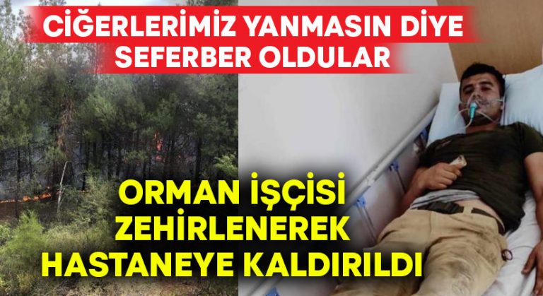 Orman işçisi ciğerlerimiz yanmasın diye zehirlendi