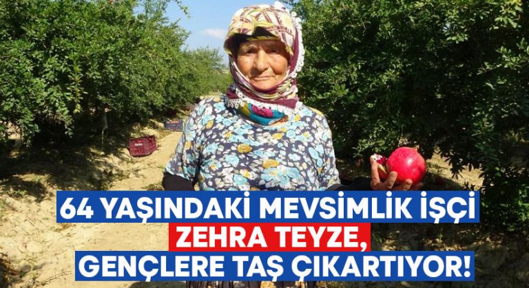 64 yaşındaki mevsimlik işçi Zehra Teyze, gençlere taş çıkartıyor!