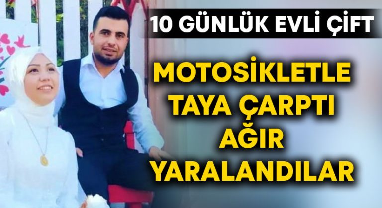 Başıboş gezen taya motosikletle çarpan 10 günlük evli çift ağır yaralandı