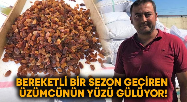 Bereketli bir sezon geçiren üzümcünün yüzü gülüyor!