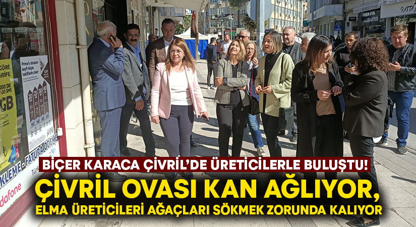 Çivril Ovası kan ağlıyor, elma üreticileri ağaçları sökmek zorunda kalıyor