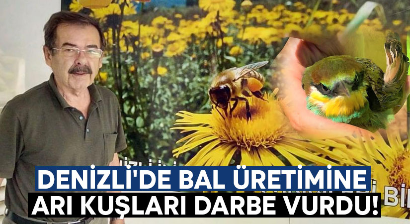 Denizli’de bal üretimine arı kuşları darbe vurdu!