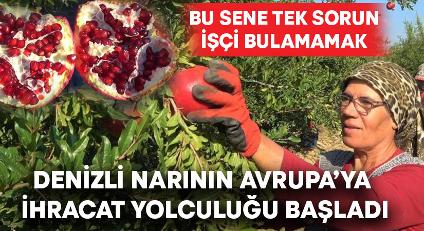 Denizli narının Avrupa’ya ihracat yolculuğu başladı