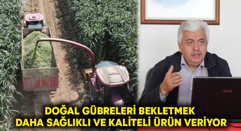 Doğal gübreleri bekletmek daha sağlıklı ve kaliteli ürün veriyor