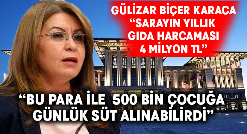 Gülizar Biçer Karaca: “Sarayın yıllık gıda harcaması 4 milyon TL”