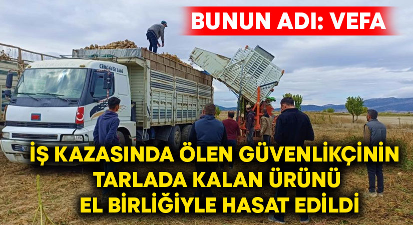 İş kazasında ölen güvenlikçinin tarlada kalan ürünü el birliğiyle hasat edildi